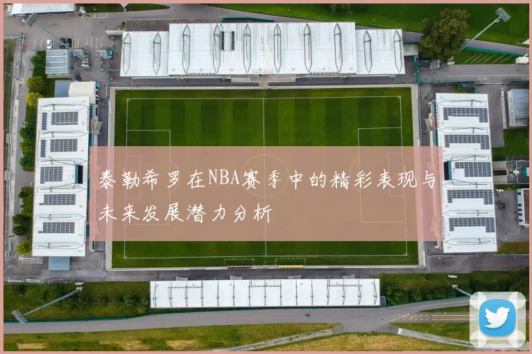 泰勒希罗在NBA赛季中的精彩表现与未来发展潜力分析