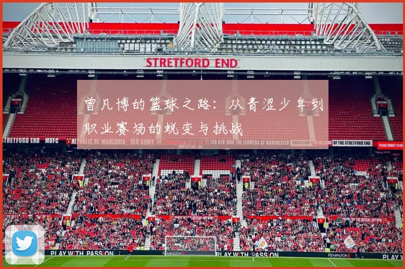 曾凡博的篮球之路：从青涩少年到职业赛场的蜕变与挑战