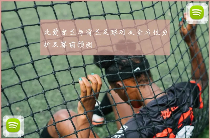北爱尔兰与荷兰足球对决全方位分析及赛前预测