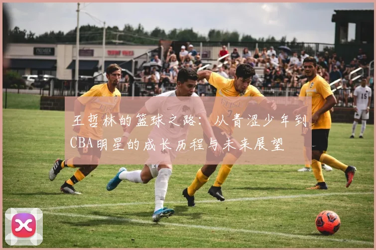 王哲林的篮球之路：从青涩少年到CBA明星的成长历程与未来展望