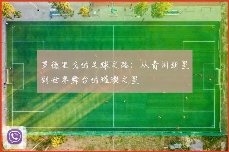 罗德里戈的足球之路：从青训新星到世界舞台的璀璨之星