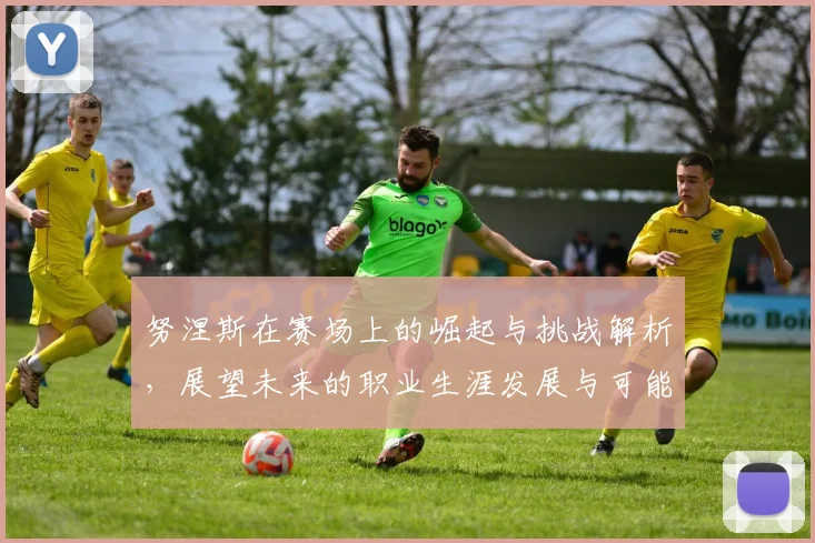 努涅斯在赛场上的崛起与挑战解析，展望未来的职业生涯发展与可能性